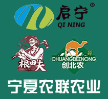 寧夏農聯(lián)農業(yè)科技有限公司